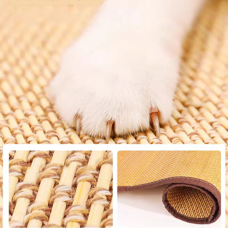 Cat Scratch Sofa Protector & Paw Sharpening Pad – Includes Nail Fixing Mats & Toys